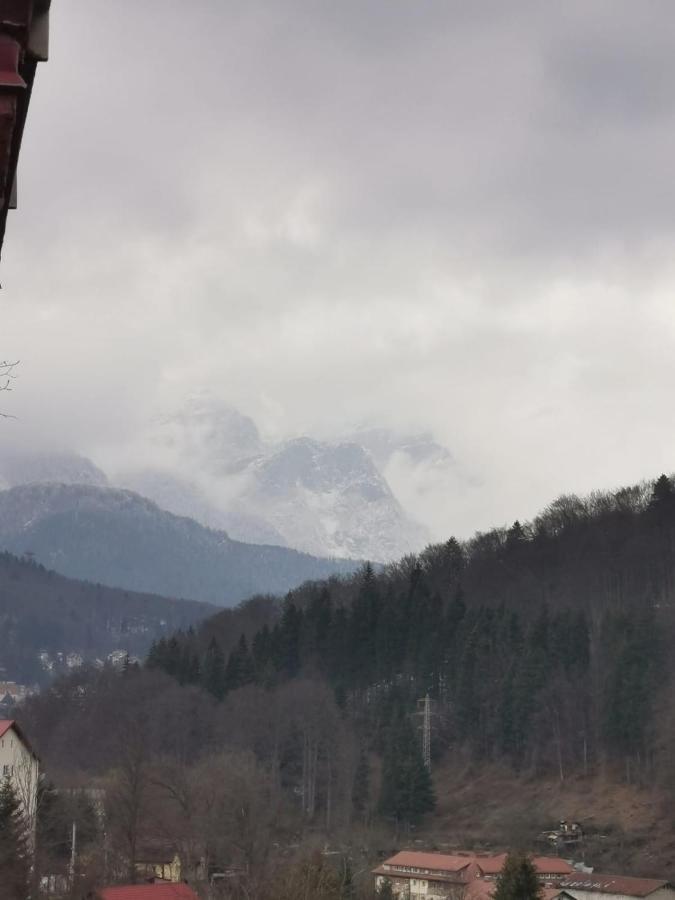 Apartament Panoramic View Sinaia Apartment Екстериор снимка