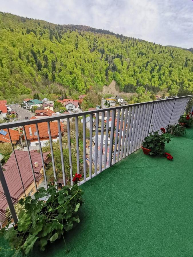 Apartament Panoramic View Sinaia Apartment Екстериор снимка
